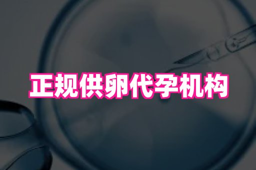 南京助孕网 4